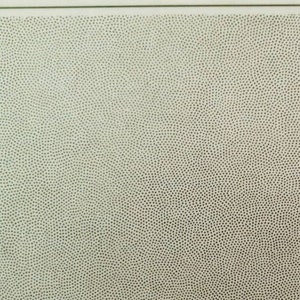 May include: A close-up of a textured surface with a pattern of small black dots on a light beige background. The number 250 is printed in black at the top right corner of the image.