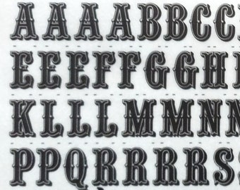 BOOKMAN BOLD ITALIC (36pt/48pt/72pt) レトラセットドライ