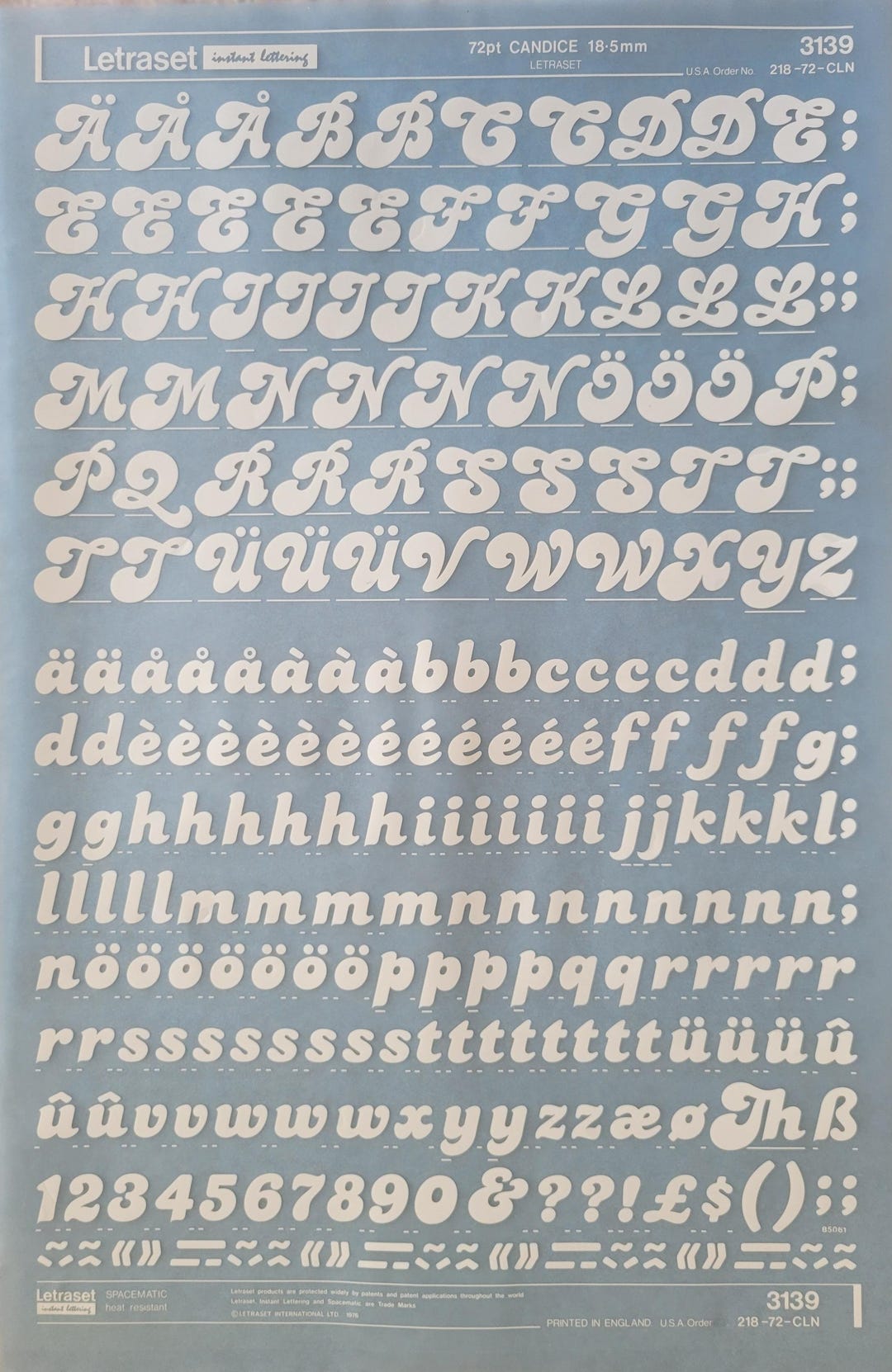 il_1080xN.7069332683_jauq.jpg