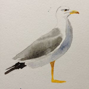 Watercolour Seagull image 1