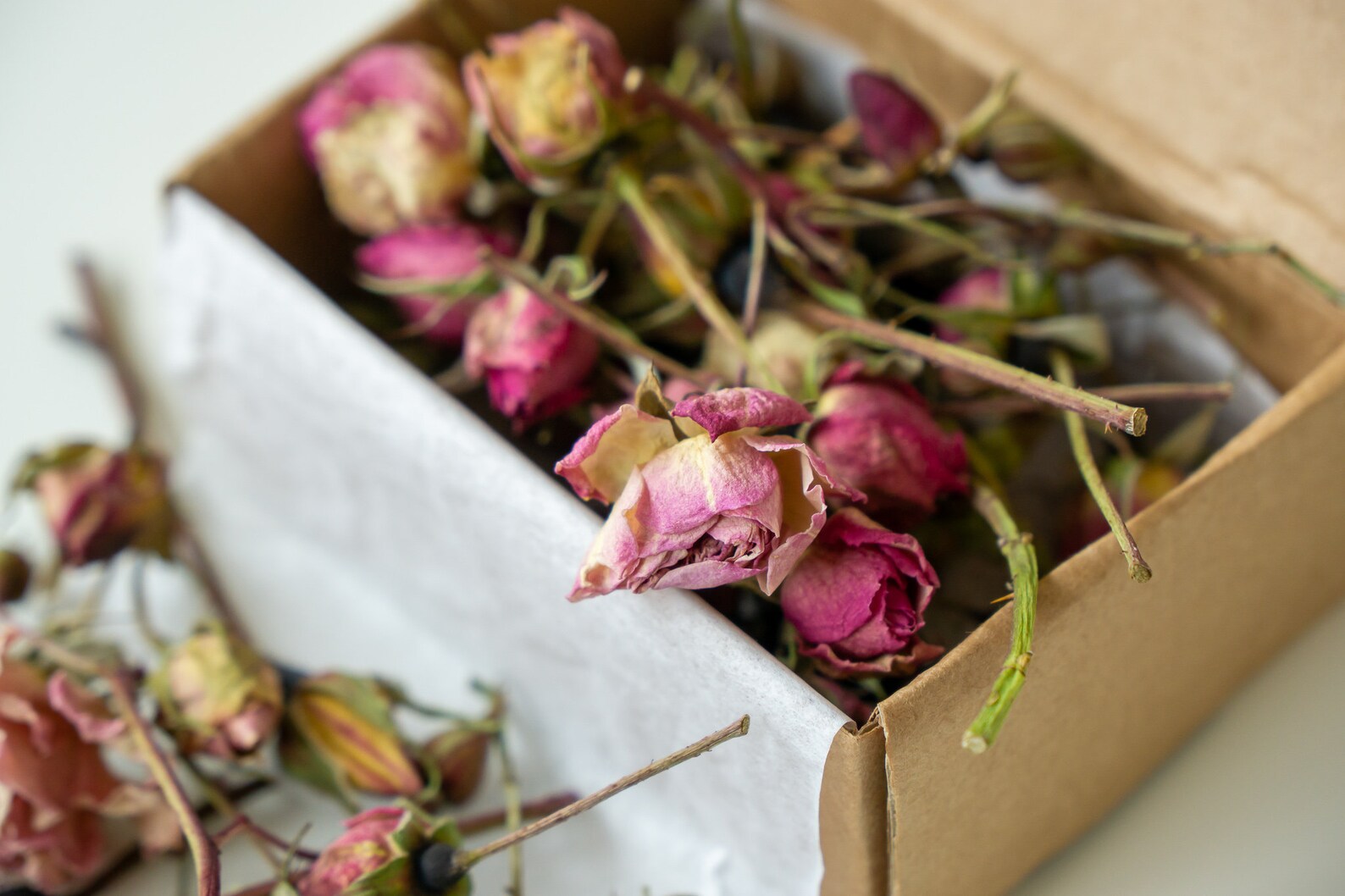 Dried Rose Buds Dried burgundy roses Flowers For resin Etsy
