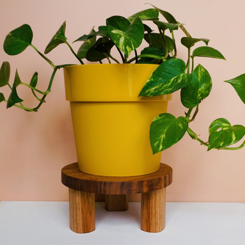 Large Timber Pot Plant Stand Etsy