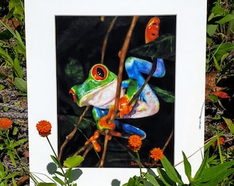 Matted Gallery Quality Giclee Print - Peek-a-Boo - Rotäugige Baumfrosch