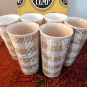 Plastic Picnic Tumblers DUO TEMP Melmac Melamine Drinking Glasses in Original Display Box Raffia Lined Cups Set