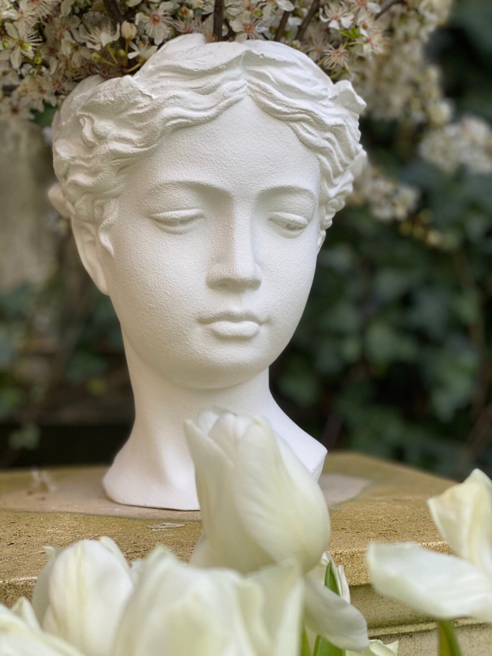 Grecian Head Face Bust Flower Vase/pot White Etsy