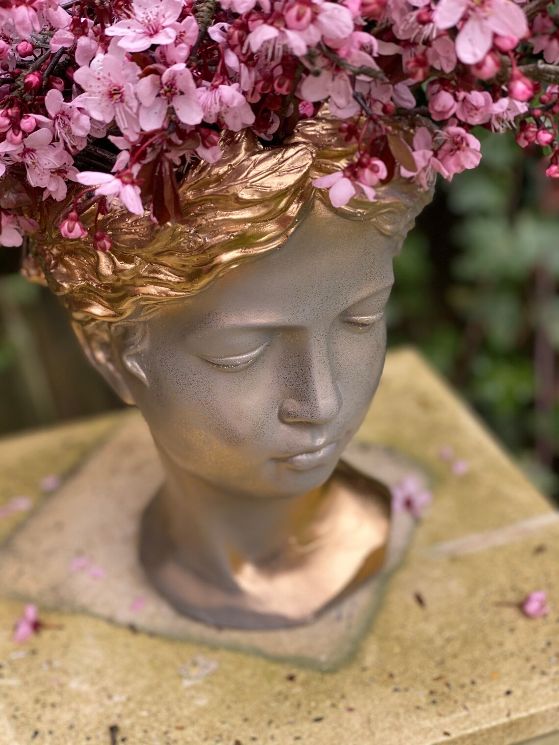 Grecian Head Face Bust Flower Vase/ Pot Grey and gold Etsy