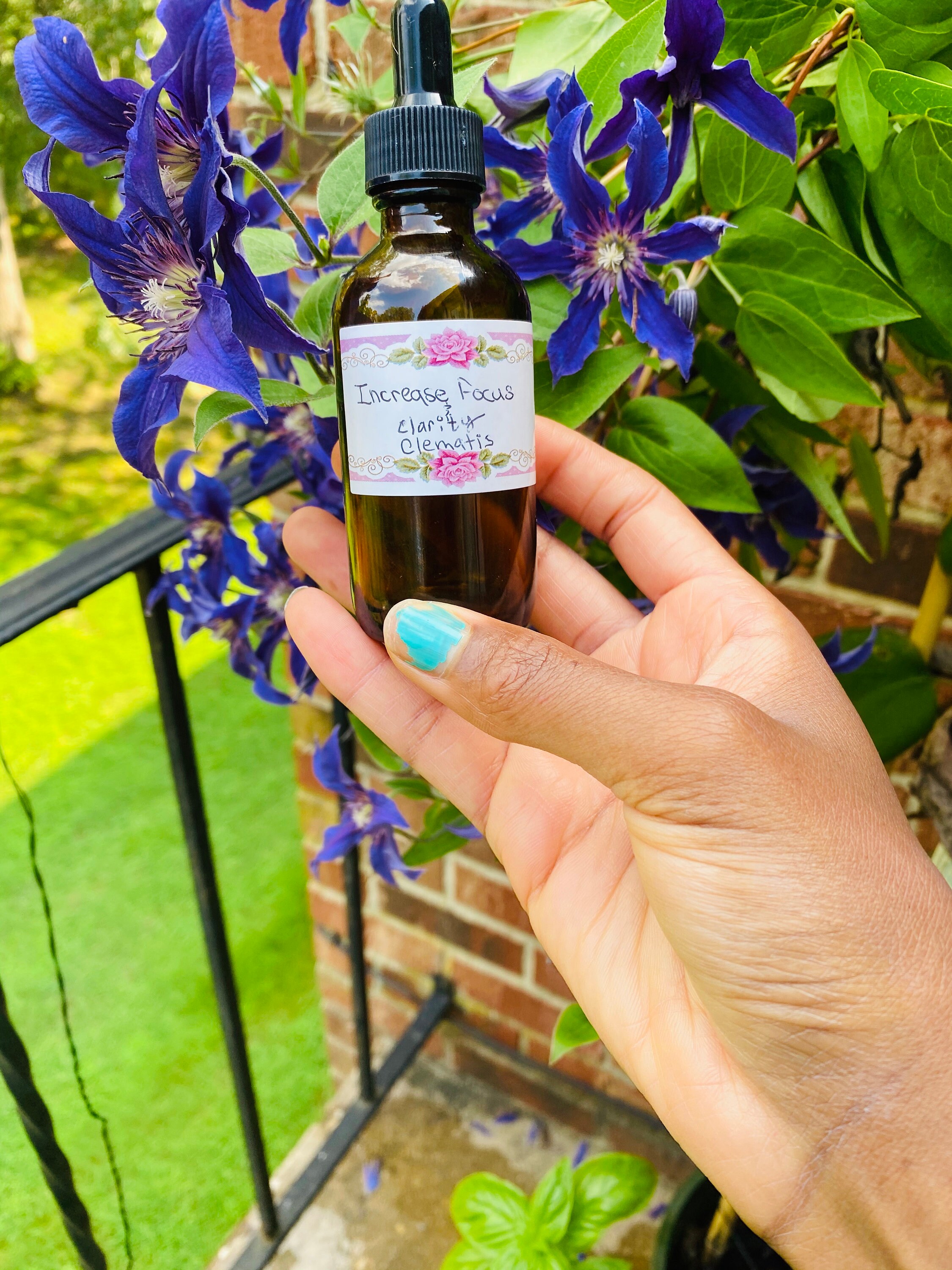 Clematis Flower Essence Tincture Etsy