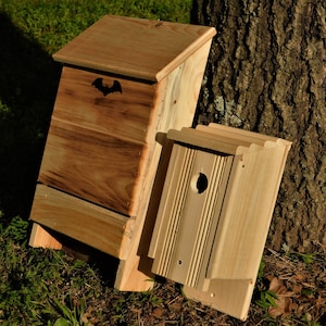 Einkammer-Fledermaushaus – mit KOSTENLOSEM Vogelhaus-Geschenk