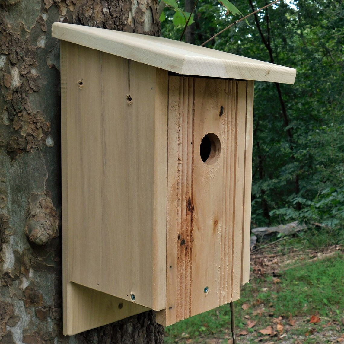 Tree Swallow House by Etsy