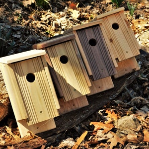 Four Pack - FREE GIFT of Bluebird Houses