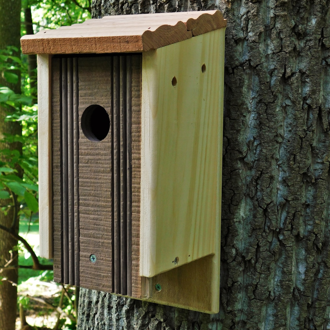 Bluebird house | Etsy