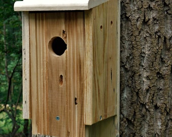 Wormy Wood Bluebird House