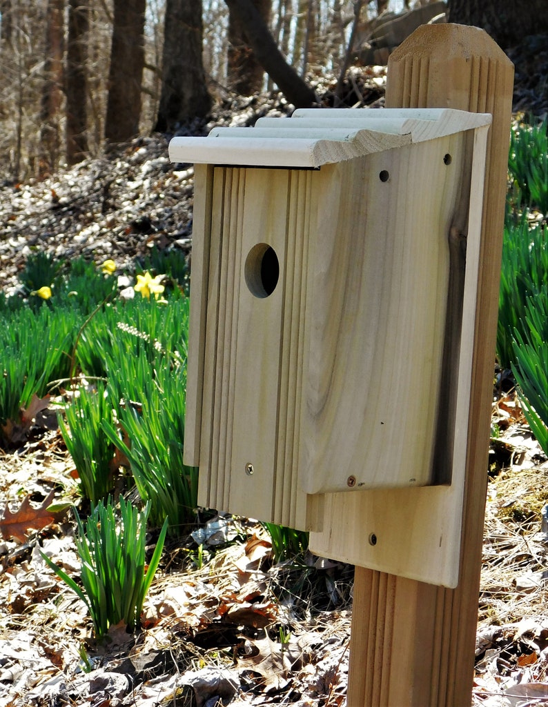 Four Pack of Bluebird Houses Etsy