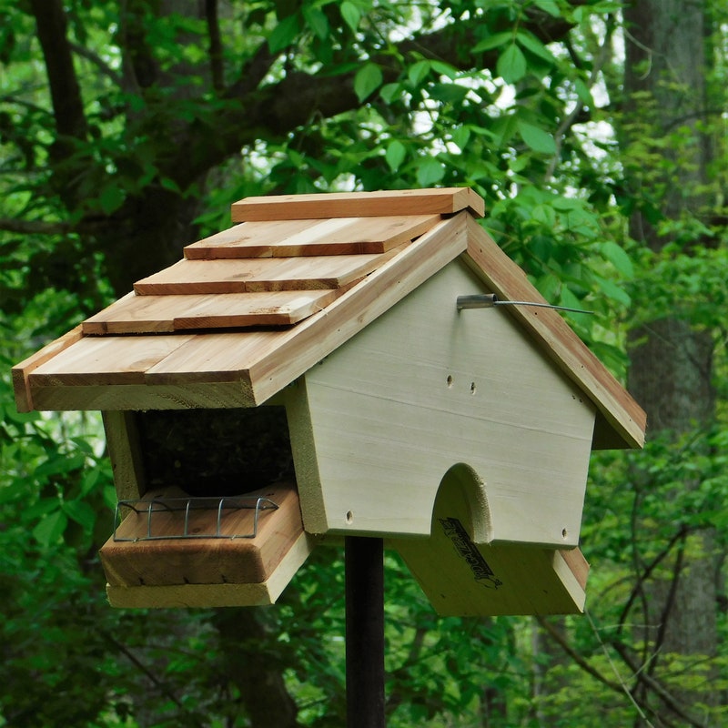Large Bird House - Etsy - Bird House For Large Birds