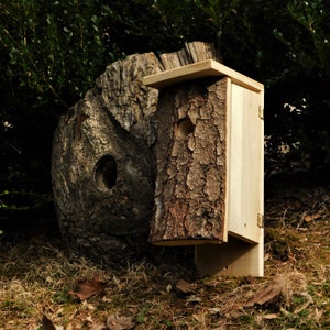 Larger Bark Faced Birdhouse / 'Blink' Camera installable