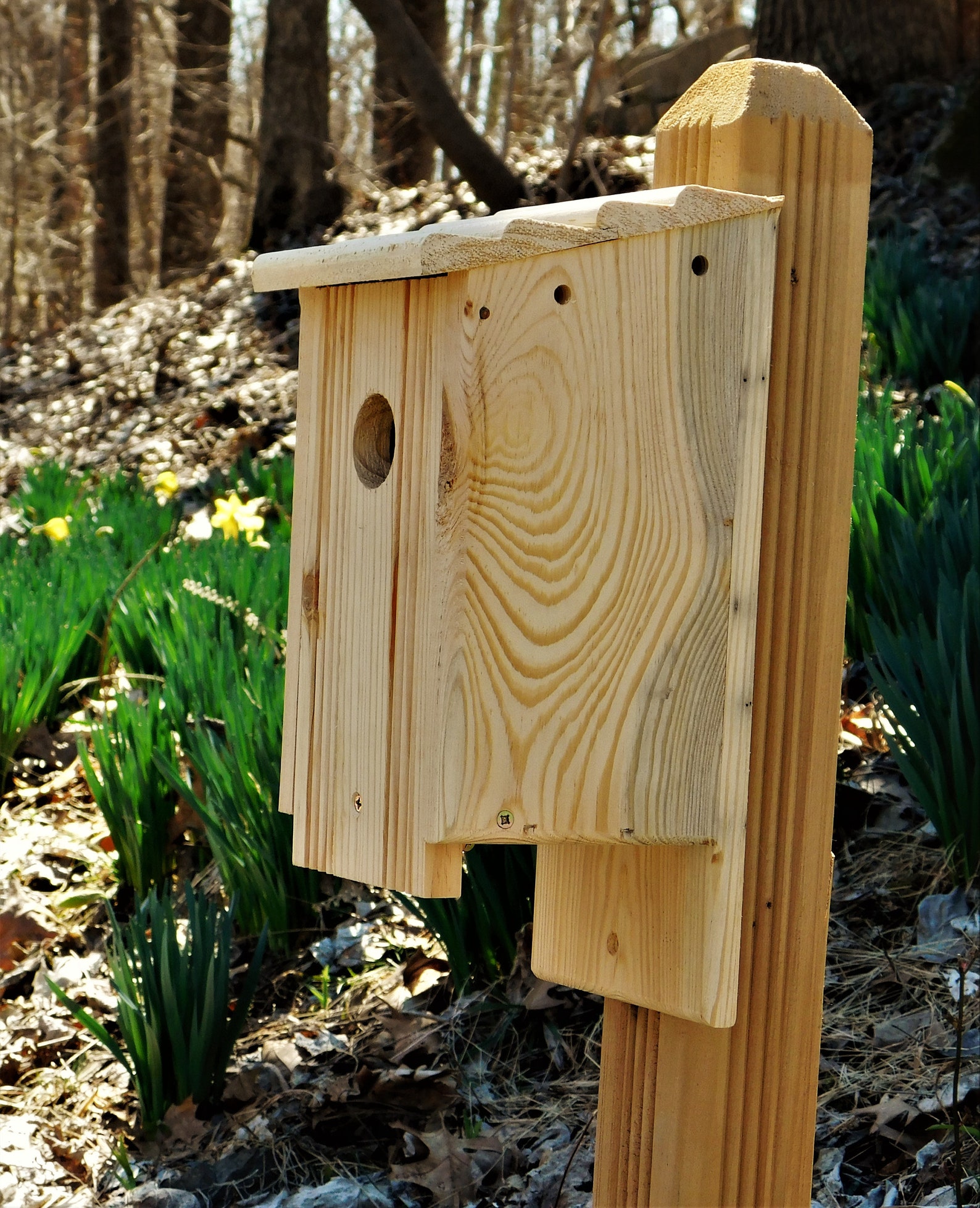 Four Pack of Bluebird Houses Etsy