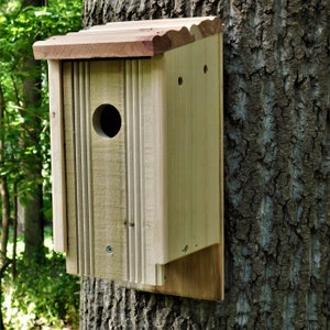Bluebird house