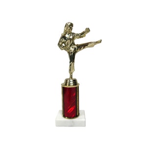 Trophy Karate -8&quot;  Martial Arts Trophy -FemaleTrophy   Perfect Martial Arts Award Trophy