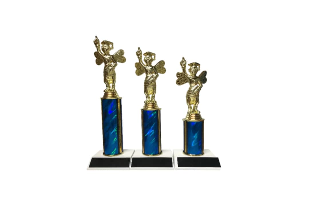 Spelling Bee Trophy Trophies 1st 2nd 3rd Place Tournament Etsy India