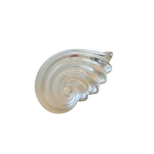 May include: A clear, swirled glass sculpture in the shape of a nautilus shell. The sculpture has a spiral design with a smooth, glossy finish. The shell is translucent, allowing light to pass through, and is set against a white background.