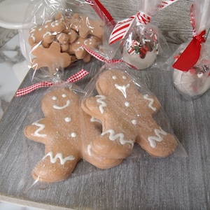 Neutral Gingerbread men/Fake food/faux candy/fake candy/Farm house Christmas decor/sugared/bagged /set of 2 /ornaments/