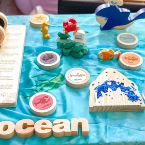 Little Diver Learn the Ocean Little World Table Top Games by Lily & River Hand Crafted in the USA Montessori Kids Stocking Stuffer image 8