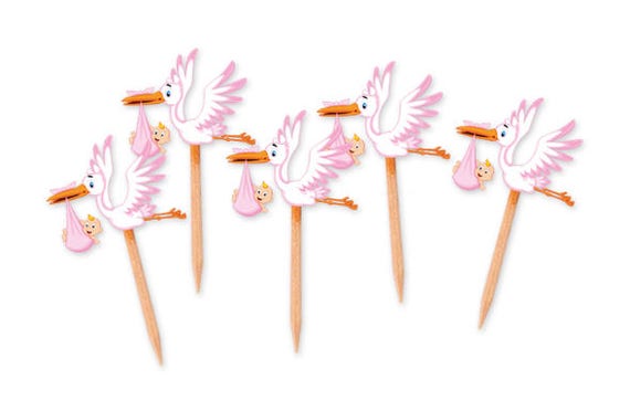 Pink Stork Picks Blue Stork Baby Shower Decorations Birth Etsy