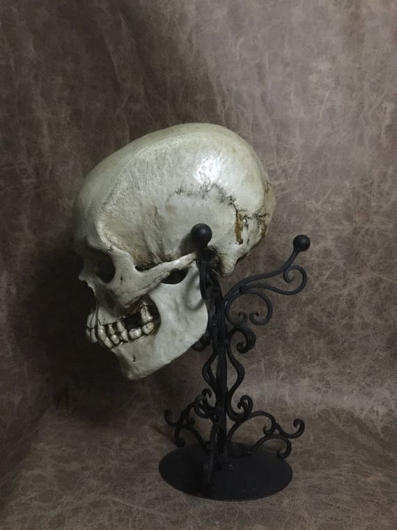 Male - Real Human Skull Replica - Zane Wylie - Etsy