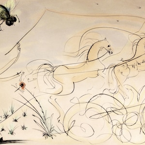 Salvador Dali Coche et la Mouche etching framed signed 1974 portfolio Le Bestiaire de La Fontaine ltd ed 182/250 Provenance Europex Auctions