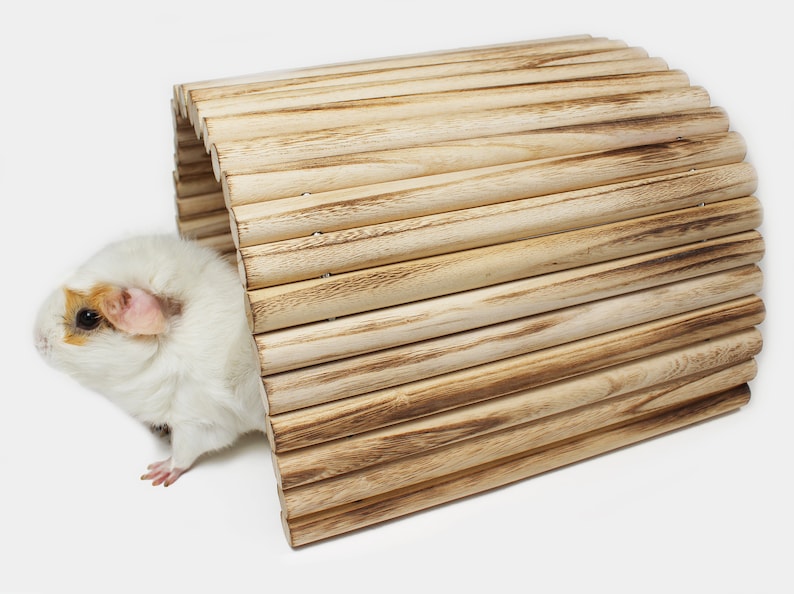 May include: A white and brown guinea pig peeks out of a wooden tunnel toy. The tunnel is made of natural wood slats and is a great enrichment item for small pets.