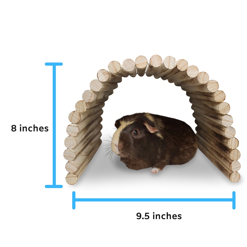 May include: Wooden arched tunnel for small pets, measuring 9.5 inches wide and 8 inches tall. A brown and white guinea pig is sitting inside the tunnel.