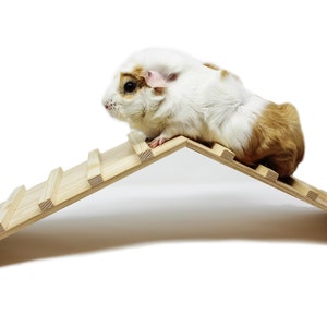 Wood Bridge for Small Animal Cage or Habitat - Guinea Pigs, Ferrets, Chinchillas, Hedgehog, Dwarf Rabbits and Other Small Animals