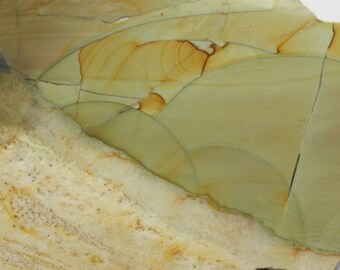Blue Mountain Picture Jasper slab for display, lapidary, cabbing