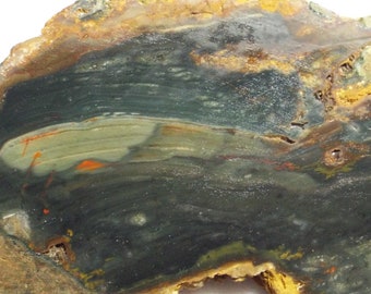Blue Mountain Picture Jasper slab for display, lapidary, cabbing
