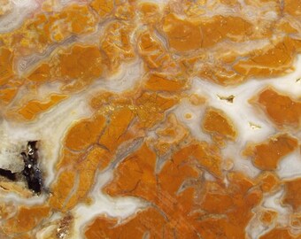 Stoney Creek jasper slab for lapidary, display, cabbing, rough
