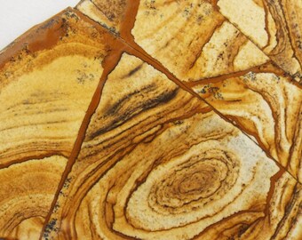 African Queen Picture jasper slab for lapidary, display, cabbing, rough
