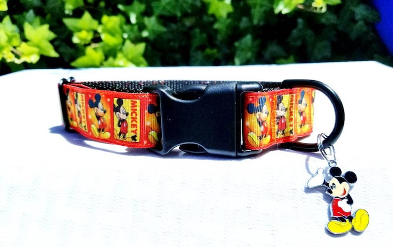 mickey mouse dog collar and leash