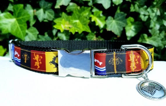 where to buy dog collar buckles