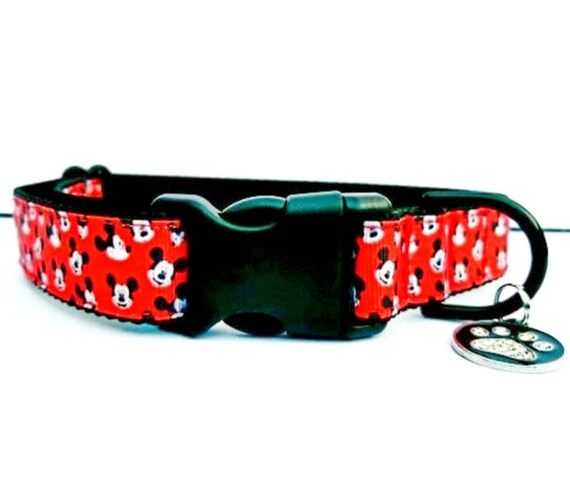 dog collar and leash in one