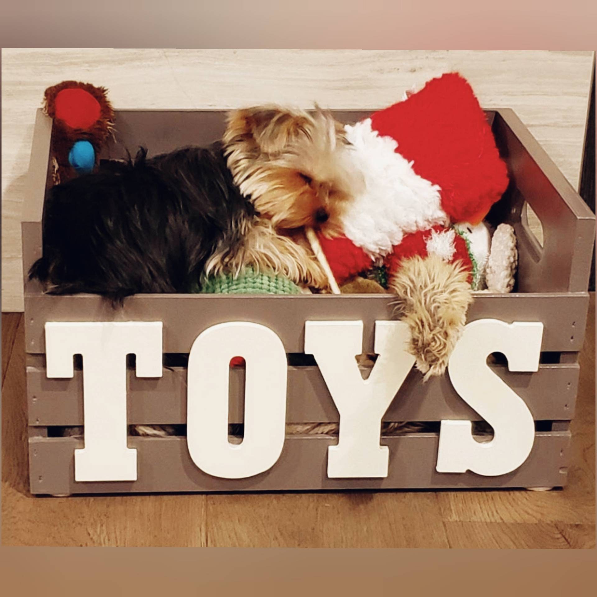 custom dog toy box