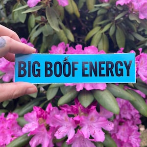 Big Boof Energy  Kayaking Sticker /  I love big boofs / Kayak Sticker / Whitewater Kayaking Sticker