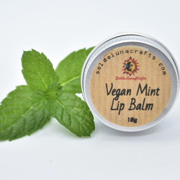 Mint Lip Balm - Vegan -  Planet Friendly Skincare - Natural - Eco Beauty - Petroleum Free - Candelilla Wax - Cruelty Free Lip Salve
