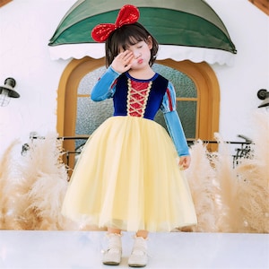 Princess Snow White Costume 