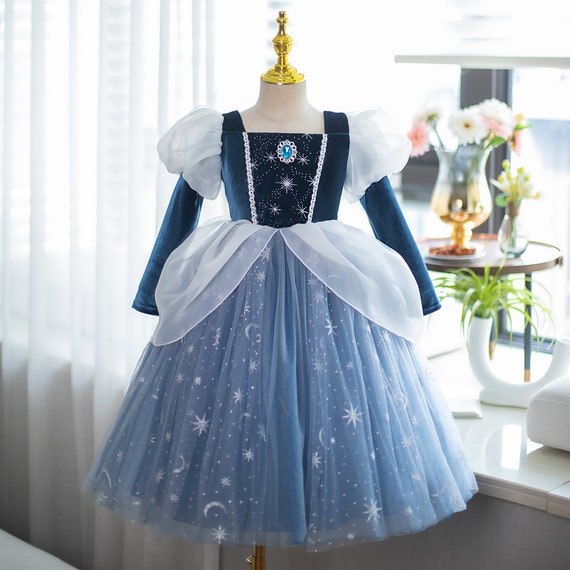 New Girls Velvet Princess for Elsa Snow Dress up Costume Etsy