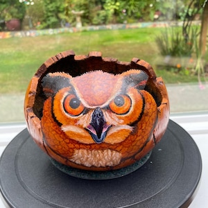 Könnte beinhalten: Eine handbemalte, eulenformige Schale mit detailliertem Gesicht. Die Eule hat orange, braune und schwarze Farben mit großen, runden Augen. Die Schale besteht aus einem natürlichen Material, möglicherweise Holz, und steht auf einer schwarzen Oberfläche.