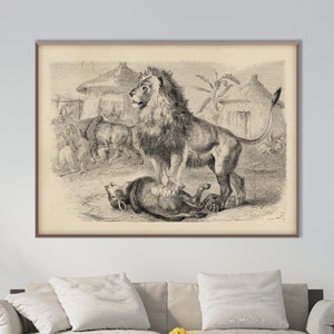 Vintage Lion Poster Print, African Feline Lithography Engraving Illustration XIX Century Monochrome Decor Housewarming Eco Friendly Gift