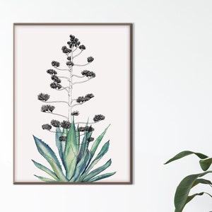 Agave Maguey Cactus Poster Print, Cactus Tekening Inkt Aquarel Blauw Sappig Eco Vriendelijk Kunstcadeau Moderne Woonkamer Boerderij Decor