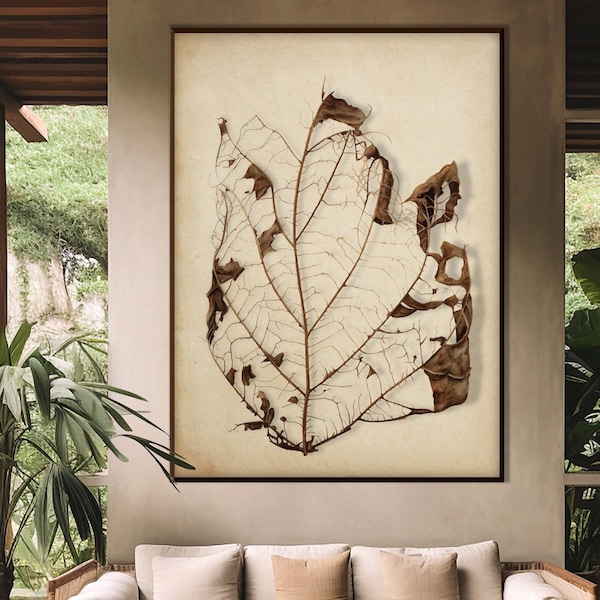 Lámina Hoja Esqueleto Escandinava, Arte Acuarela Pared Botanico Decoración Salón Nórdico Casa de Campo Arte Moderno Minimalista Regalo