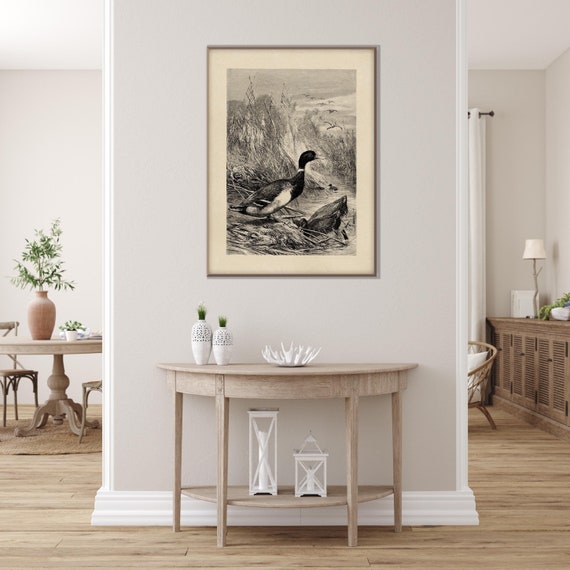 Vintage Duck Maillard Print, Antique Lithography Engraving Illustration XIX Century Artwork Monochrome Decor Housewarming Eco Friendly Gift