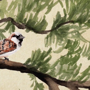 Pode incluir: Pintura em aquarela de um pardal empoleirado em um galho. O p&aacute;ssaro tem uma cabe&ccedil;a branca com um bico preto e um corpo marrom e branco. A folhagem verde e um galho marrom est&atilde;o no fundo.